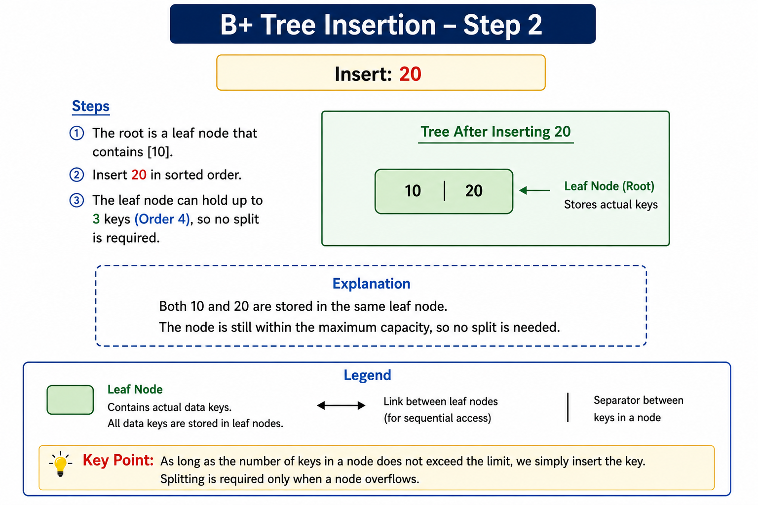 B Plus Tree after inserting 20