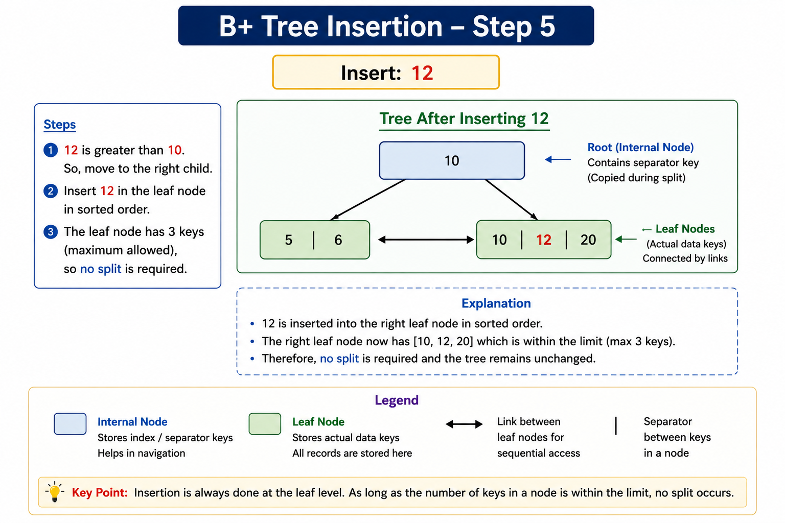 B Plus Tree after inserting 12
