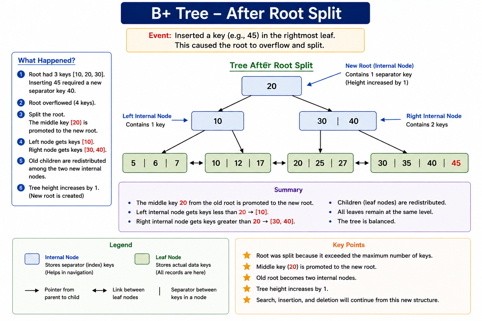 B Plus Tree root after splitting