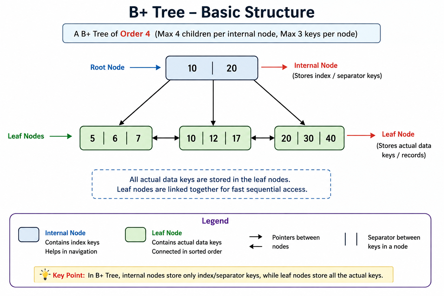 Basic Structure of B Plus Tree