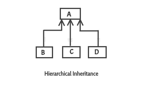 hierarchical-inheritance